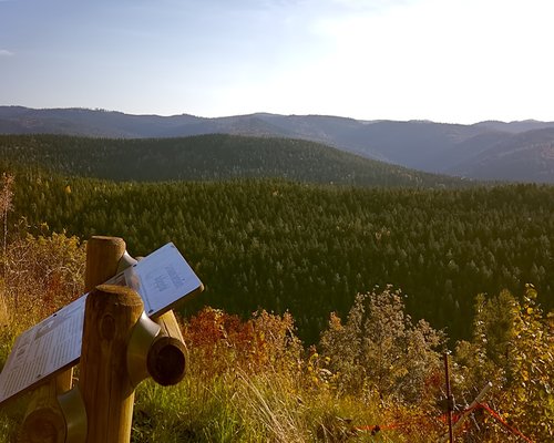 Reading a book in a mountain landscape